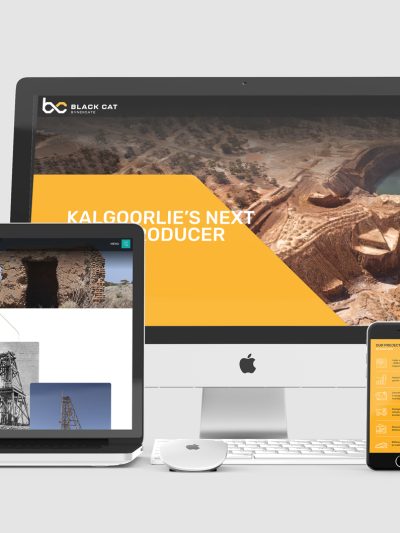 E-Commerce Website Development