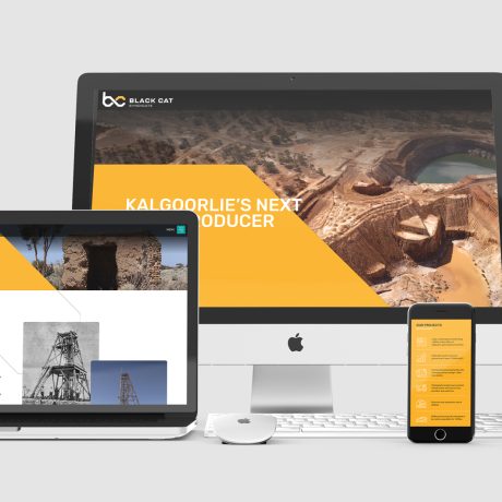 E-Commerce Website Development